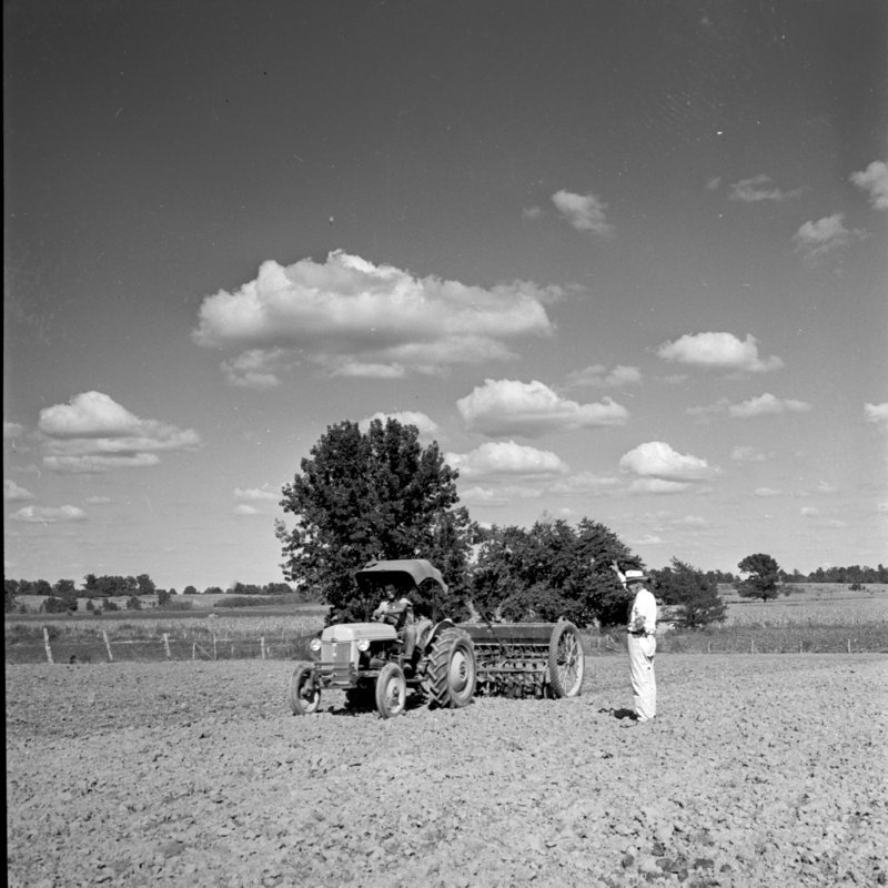 108_Plowed fields were planted with alphalfa... (undated).jpg